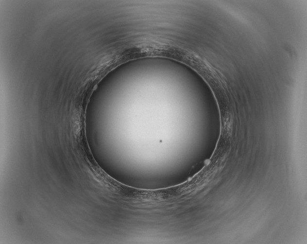 X0000113181012200909041338