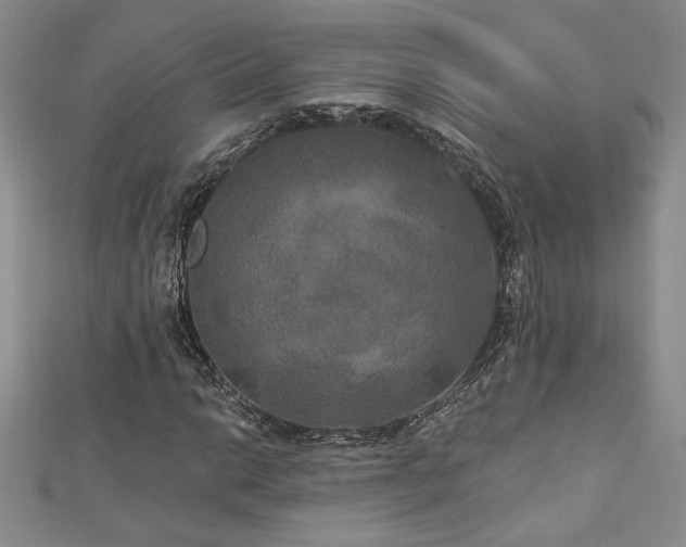X0000113181014200909041338