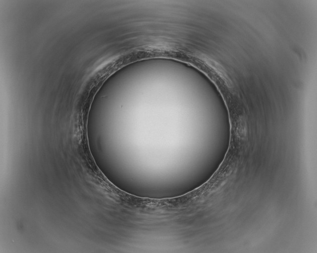 X0000113181015200909041338