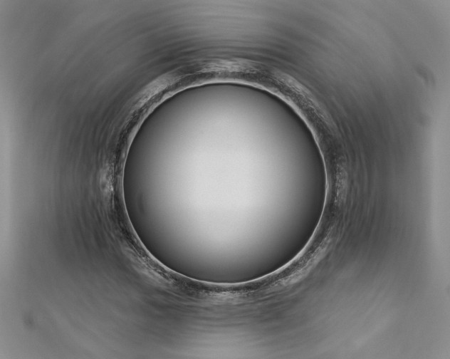 X0000113181017200909041338