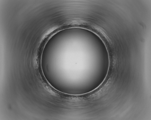 X0000113181018200909041339