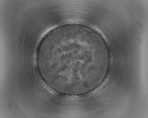 X0000113181019200909041339