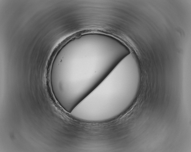 X0000113181020200909041339