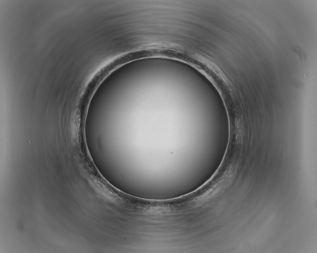 X0000113181021200909041339