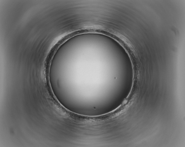 X0000113181022200909041339