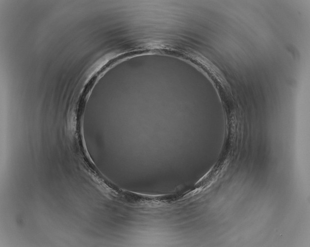 X0000113181023200909041339