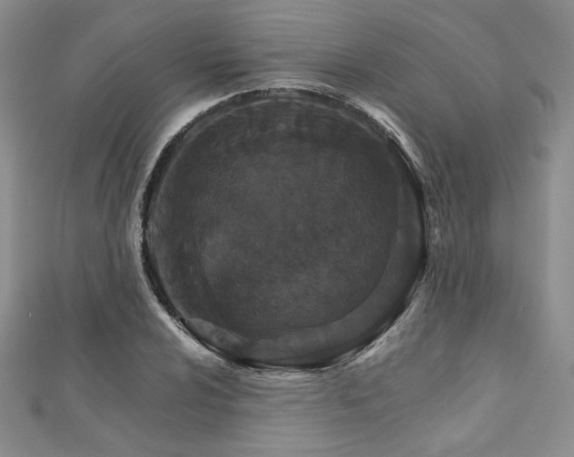 X0000113181024200909041339