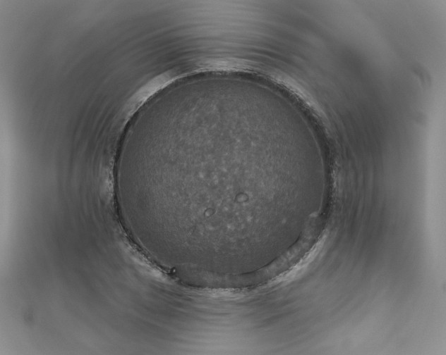 X0000113181025200909041339