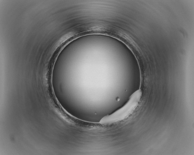 X0000113181026200909041339