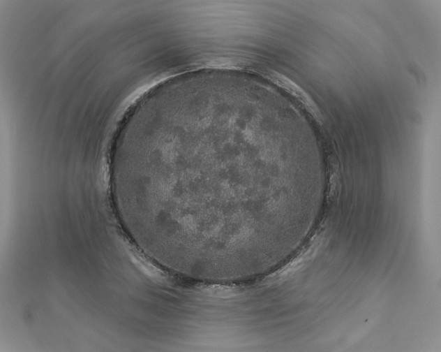 X0000113181027200909041339