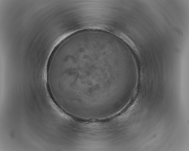 X0000113181028200909041339