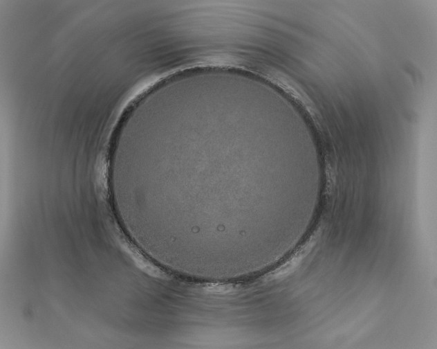 X0000113181029200909041339