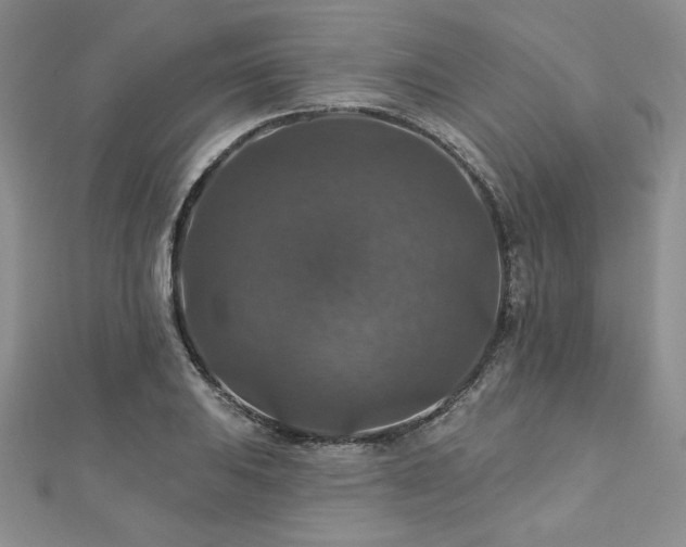 X0000113181031200909041339