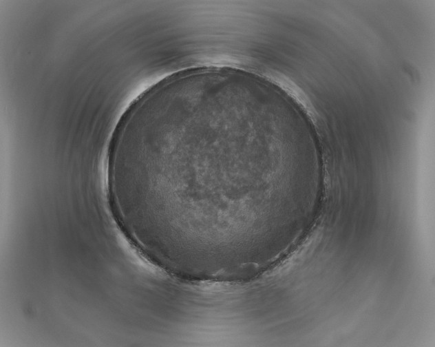 X0000113181032200909041339