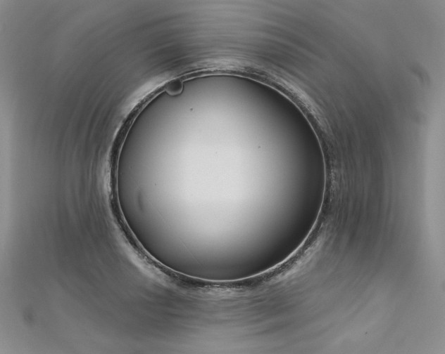 X0000113181034200909041339