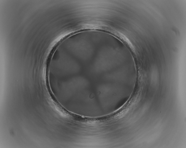 X0000113181035200909041339