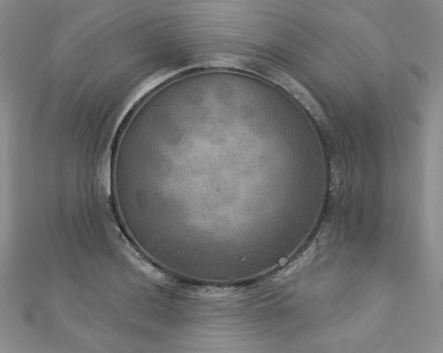 X0000113181036200909041339