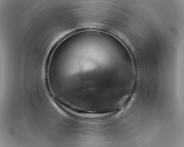 X0000113181037200909041339