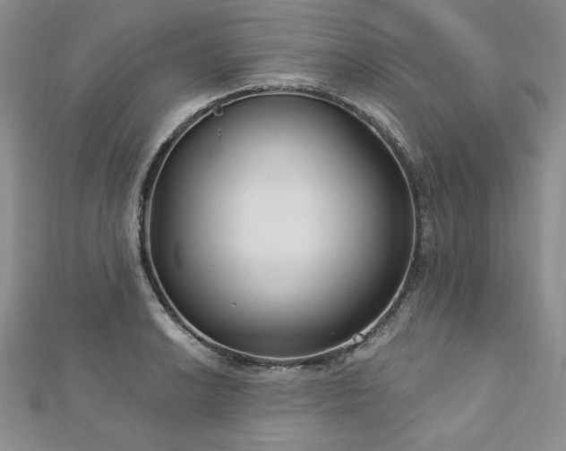 X0000113181038200909041339