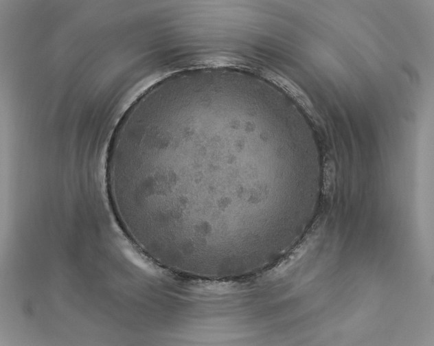 X0000113181039200909041339