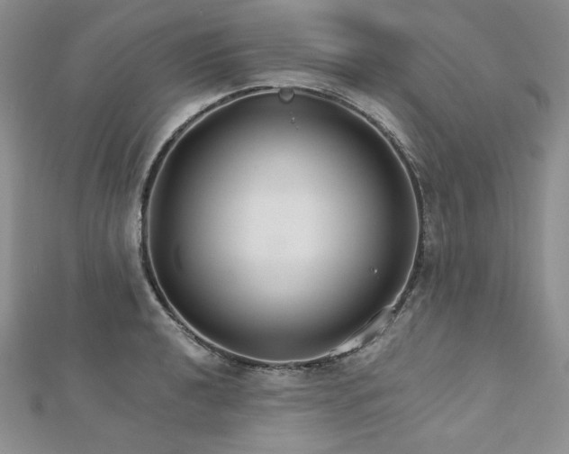 X0000113181040200909041339