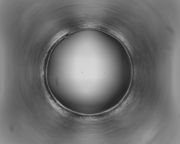 X0000113181042200909041339