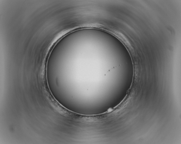 X0000113181044200909041339