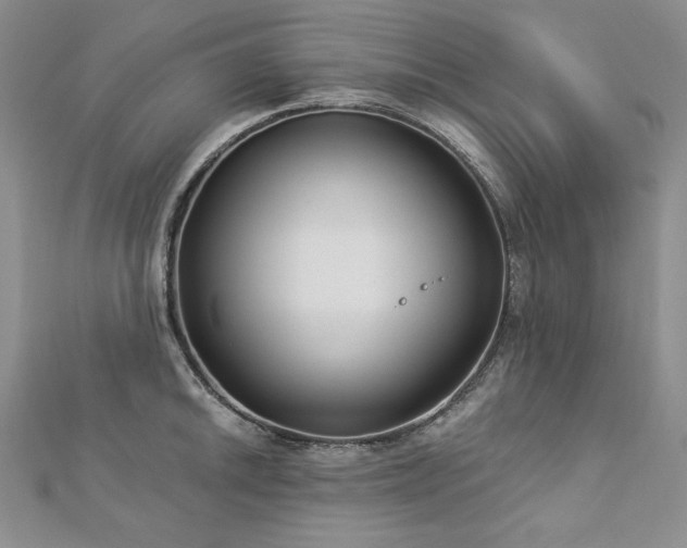 X0000113181046200909041339