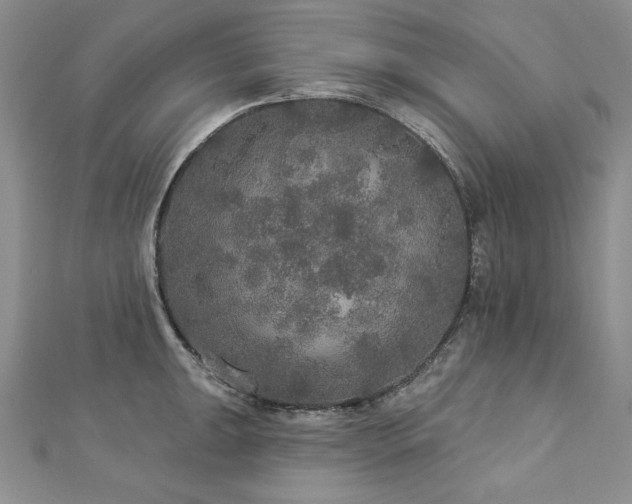 X0000113181047200909041339