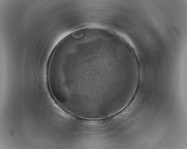 X0000113181048200909041339