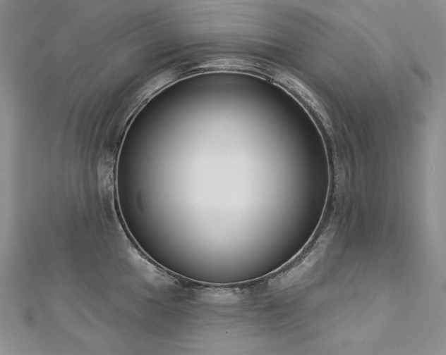 X0000113181049200909041339