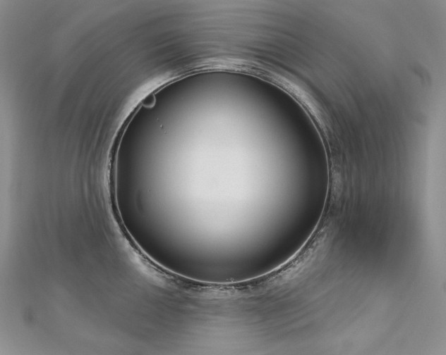 X0000113181050200909041339