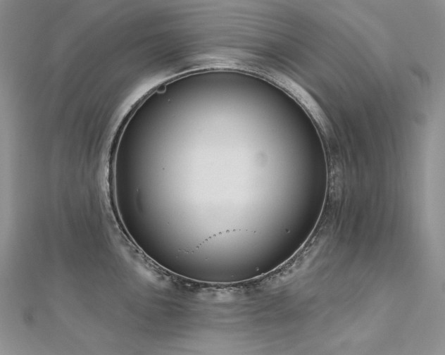 X0000113181051200909041339