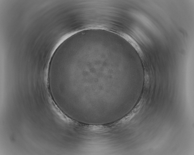 X0000113181052200909041339
