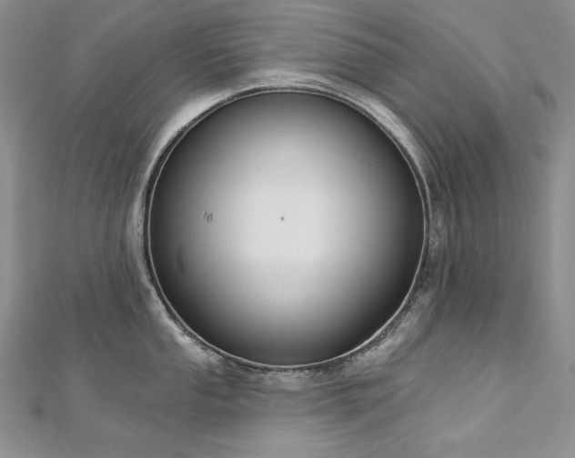 X0000113181053200909041339