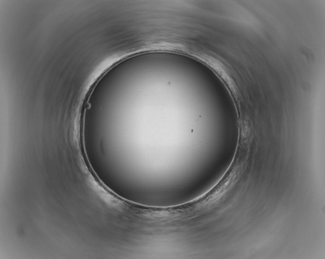 X0000113181054200909041339
