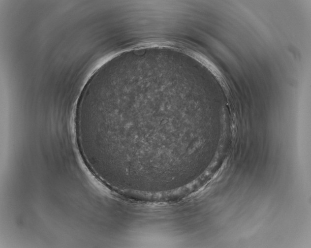 X0000113181055200909041339