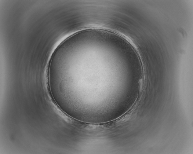 X0000113181056200909041339