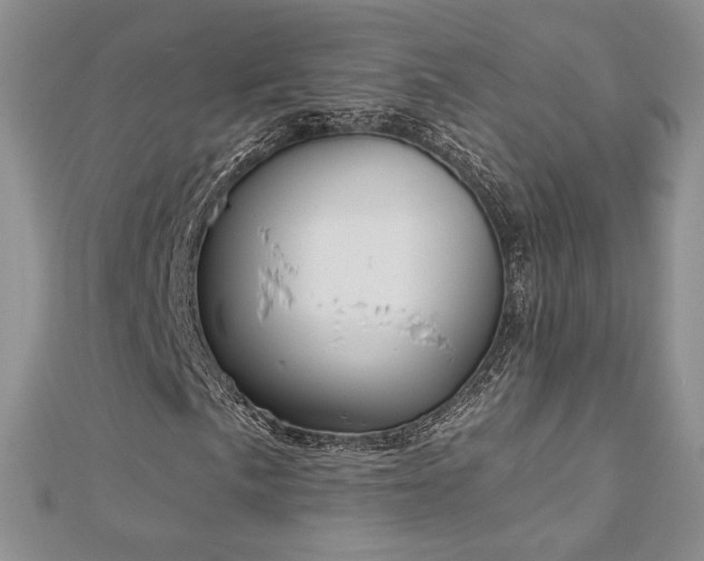 X0000113181057200909041338