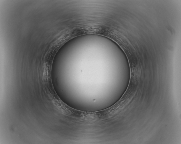 X0000113181058200909041338