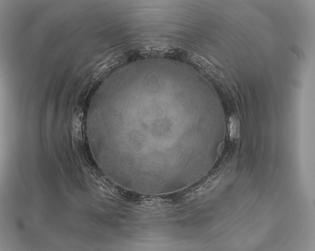 X0000113181059200909041338