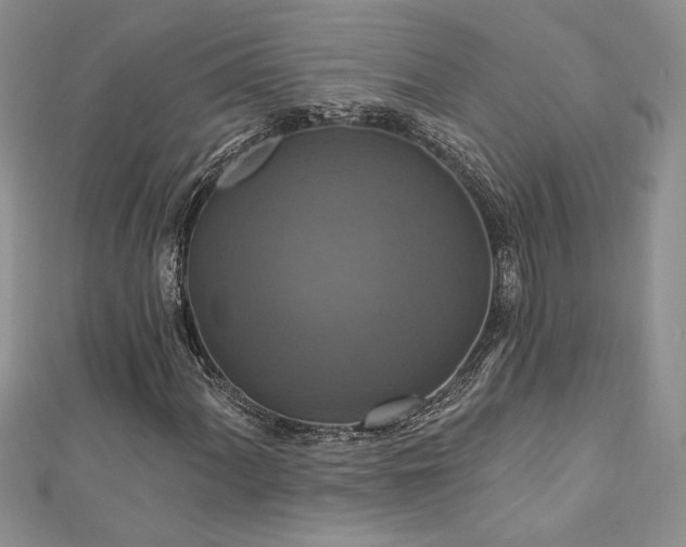 X0000113181060200909041338
