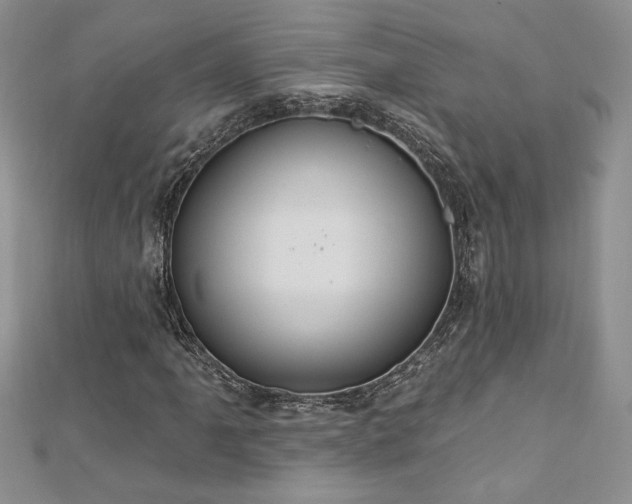 X0000113181061200909041338