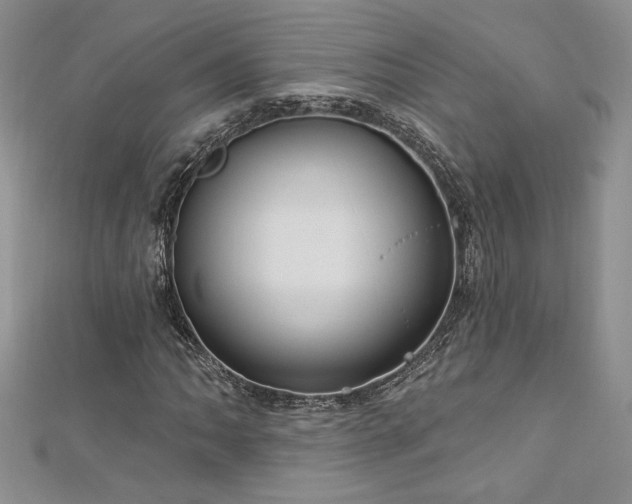 X0000113181062200909041338