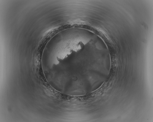 X0000113181063200909041338