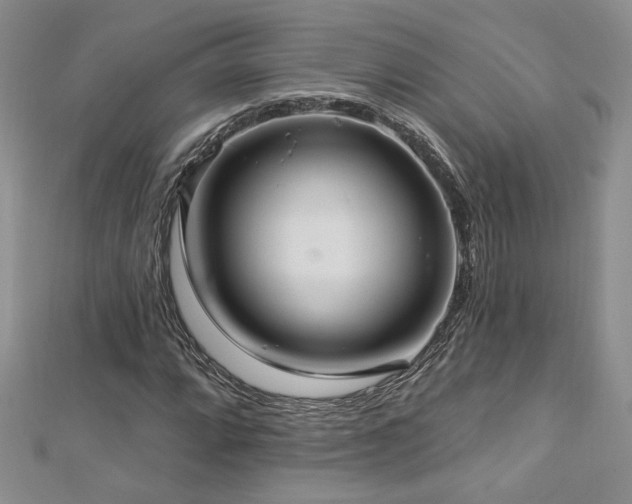 X0000113181064200909041338