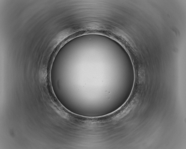 X0000113181065200909041338