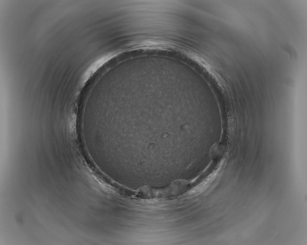X0000113181066200909041338