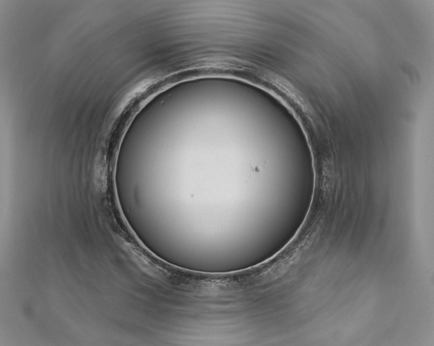 X0000113181067200909041338