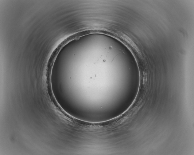 X0000113181068200909041338